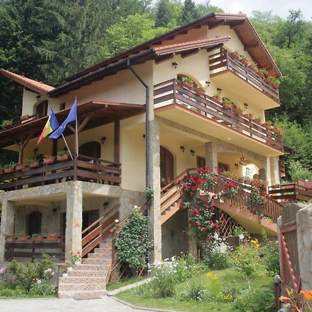 Casa Anca Boutique Hotel Timisu de Jos Exterior photo