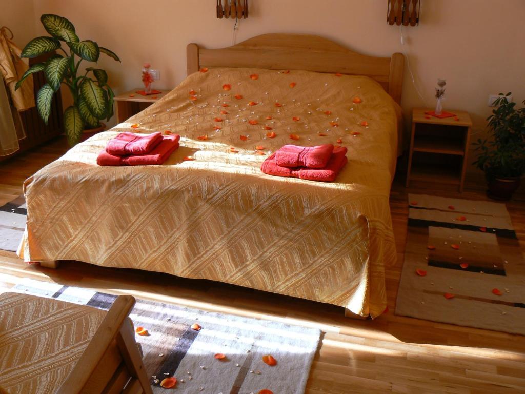 Casa Anca Boutique Hotel Timisu de Jos Room photo