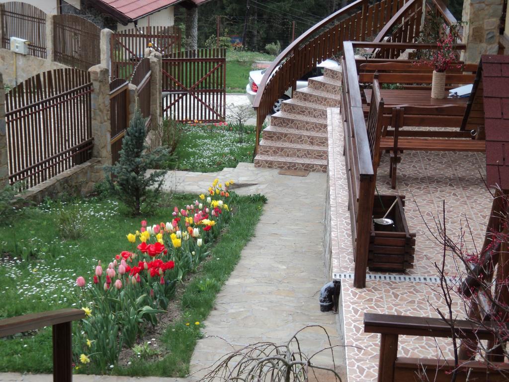 Casa Anca Boutique Hotel Timisu de Jos Exterior photo