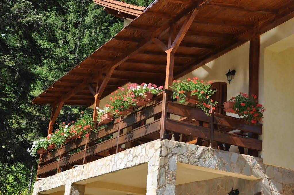 Casa Anca Boutique Hotel Timisu de Jos Exterior photo